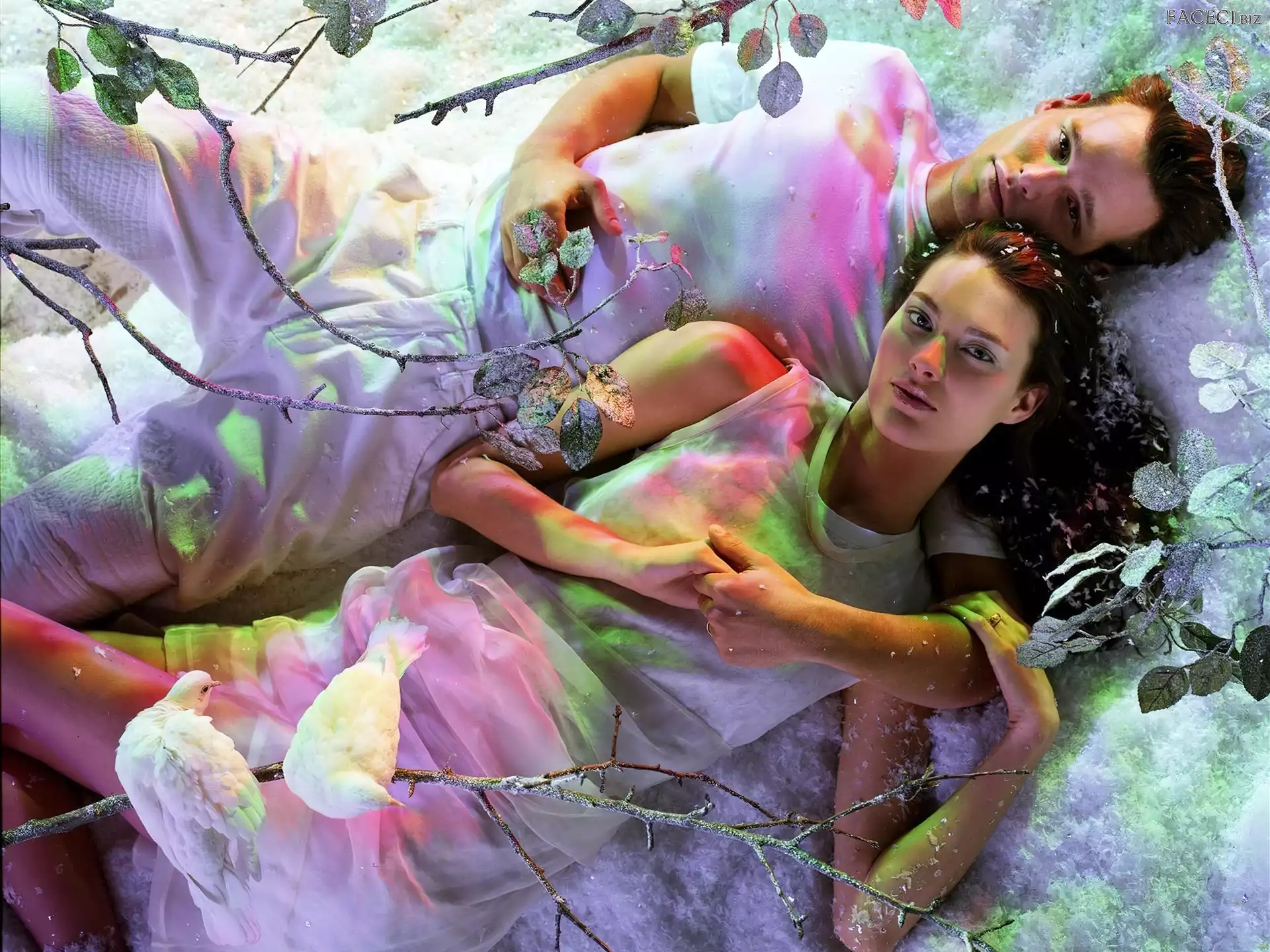 Śniegu, Płatki, Mężczyzna, Kobieta, Ptaki